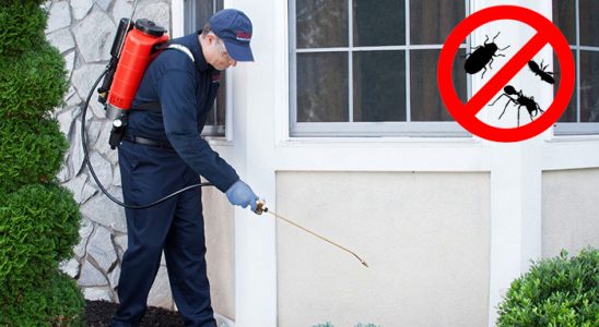 Kuşadası Akrep İlaçlama böcek ilaçlama ve haşere kontrolü — ilaclama-tr.com